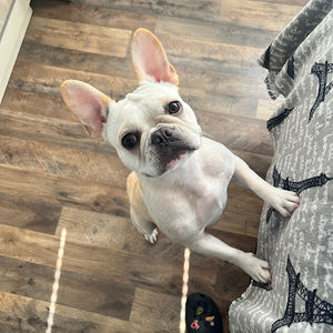 Meet your Posher, Jonas